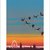 Migration over Westminster, Greeting Card