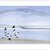 Tide Rising, Greeting Card